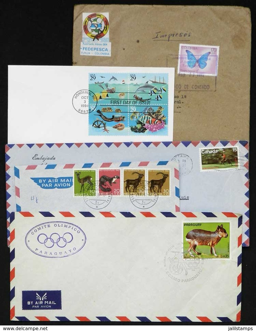 TOPIC ANIMALS, FAUNA: Topic Animals, Fauna: 54 Covers/cards With Stamps Or Special Postmarks, VF! - Autres & Non Classés