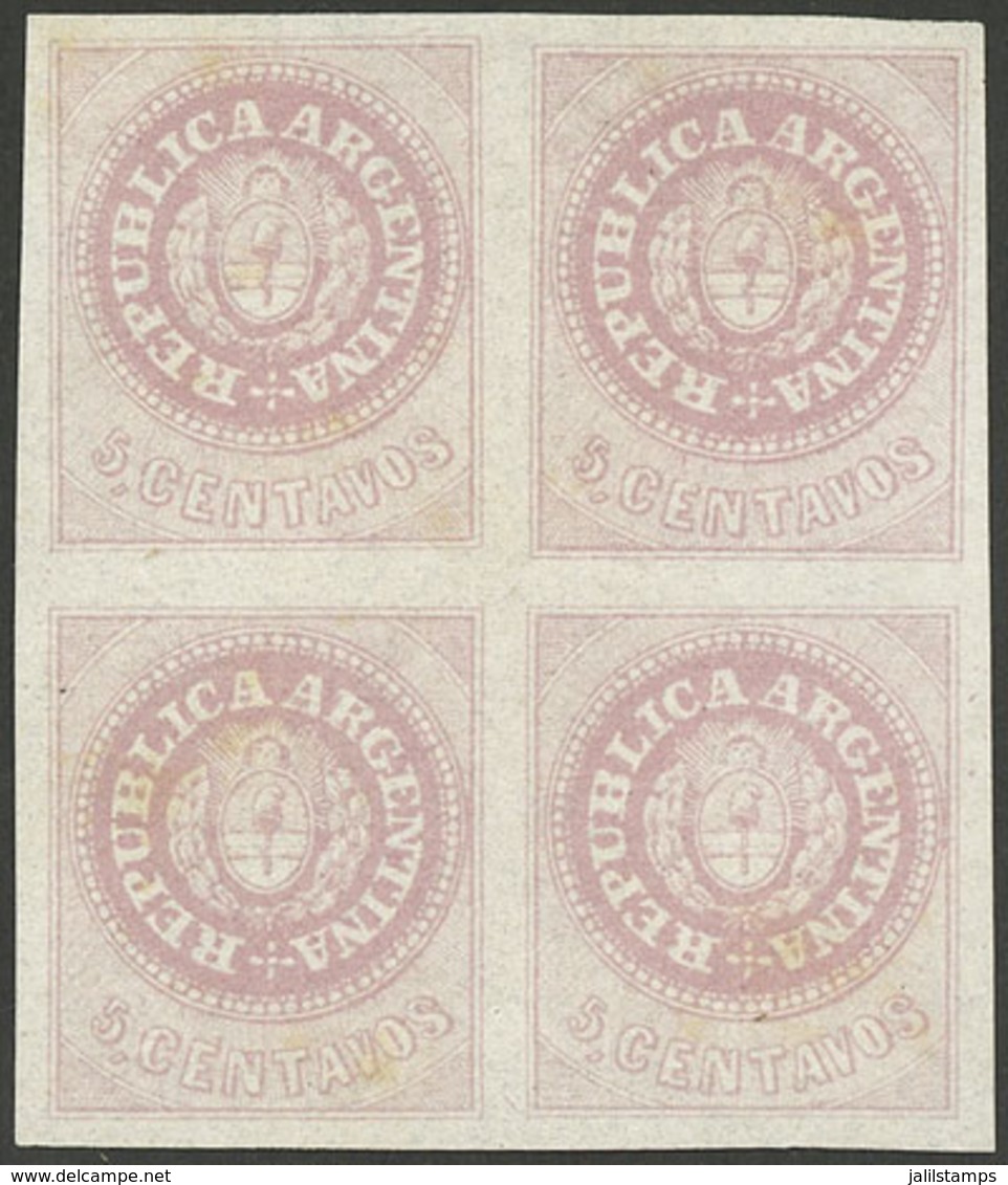 ARGENTINA: GJ.10, 5c. Dull Rose, Excellent Mint Block Of 4, VF Quality! - Ungebraucht