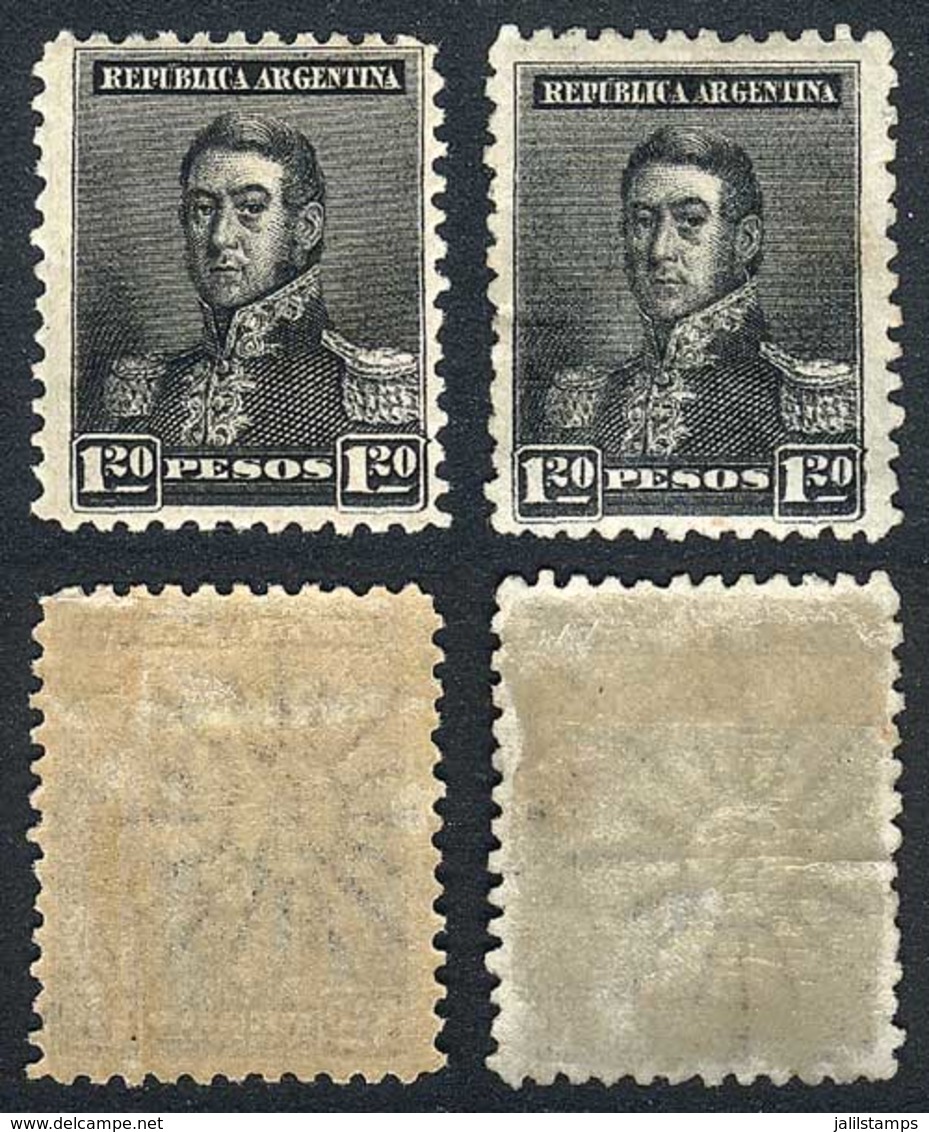 ARGENTINA: GJ.187, 2 Examples, Normal And INVERTED Watermark, VF! - Altri & Non Classificati