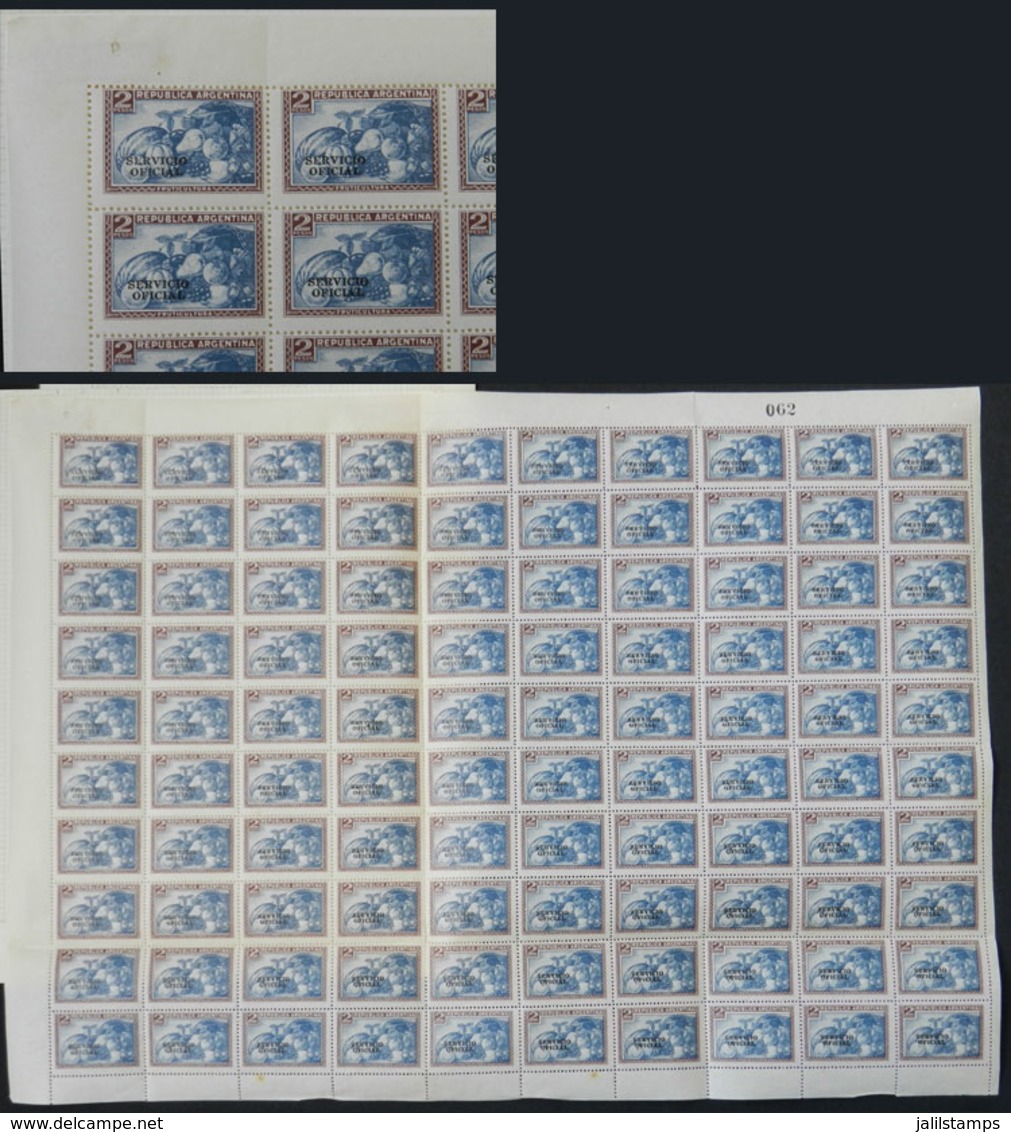 ARGENTINA: GJ.667, Complete Sheet Of 100 Examples. Folded And Mounted On Album Page (with Hinges On Some Stamps), VF Qua - Servizio