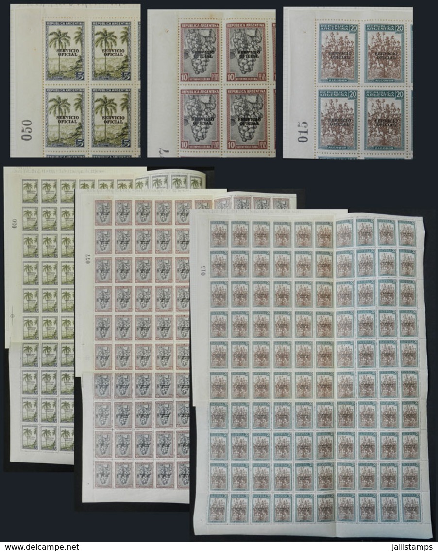 ARGENTINA: GJ.668/670, The 3 High Values Of The Set, Complete Sheets Of 100 Examples. The 10P. Sheet Includes Some Retou - Servizio