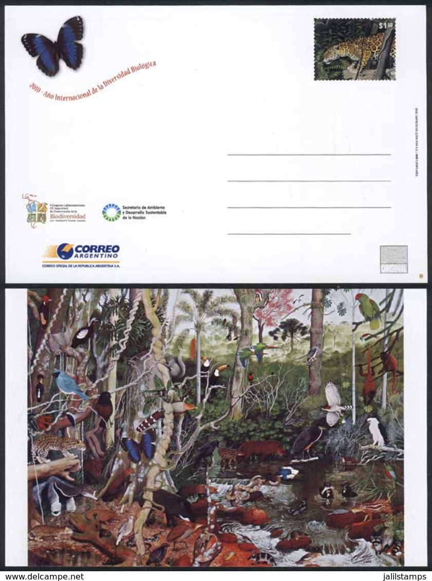 ARGENTINA: Postal Card Issued In 2010 By The Latin American Congress On Biodiversity (yaguarete, Butterfly, Fauna, Flora - Enteros Postales