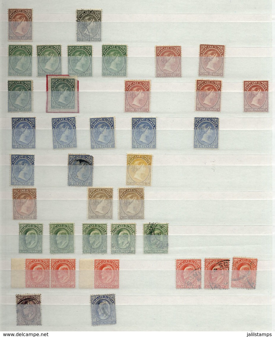 FALKLAND ISLANDS/MALVINAS: Stockbook With Old And Modern Stamps, Used And Mint (without Gum, Lightly Hinged Or MNH), Fin - Falkland Islands