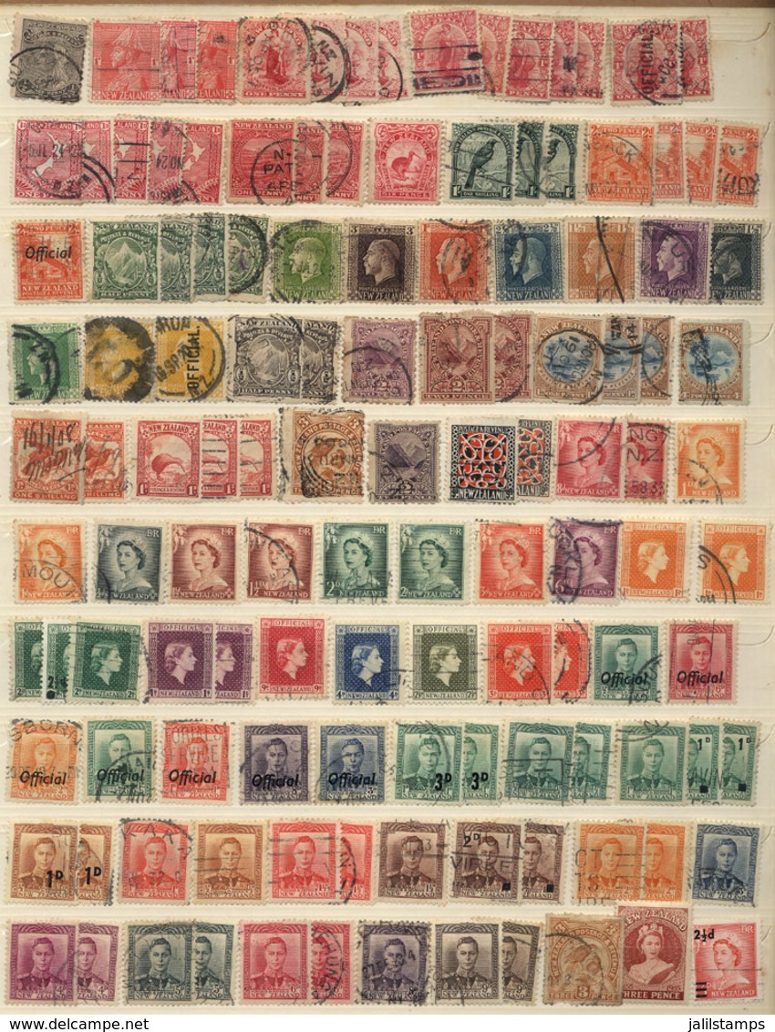 NEW ZEALAND: Stockbook With Good Amount Of Interesting Stamps, Old And Modern, Very Fine General Quality, High Catalog V - Otros & Sin Clasificación