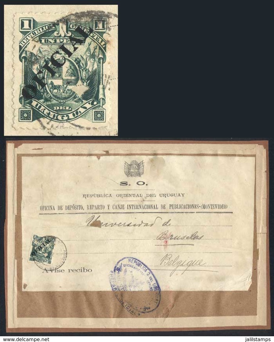 URUGUAY: Large Fragment Of Parcel Post Cover Of The "Oficina De Depósito, Reparto Y Canje Internacional De Publicaciones - Uruguay