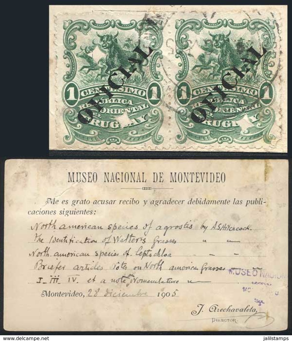 URUGUAY: Card Of The National Museum Sent To USA On 28/DE/1905, Franked By Pair Scott O84 With Two Diamond Punch Holes E - Uruguay