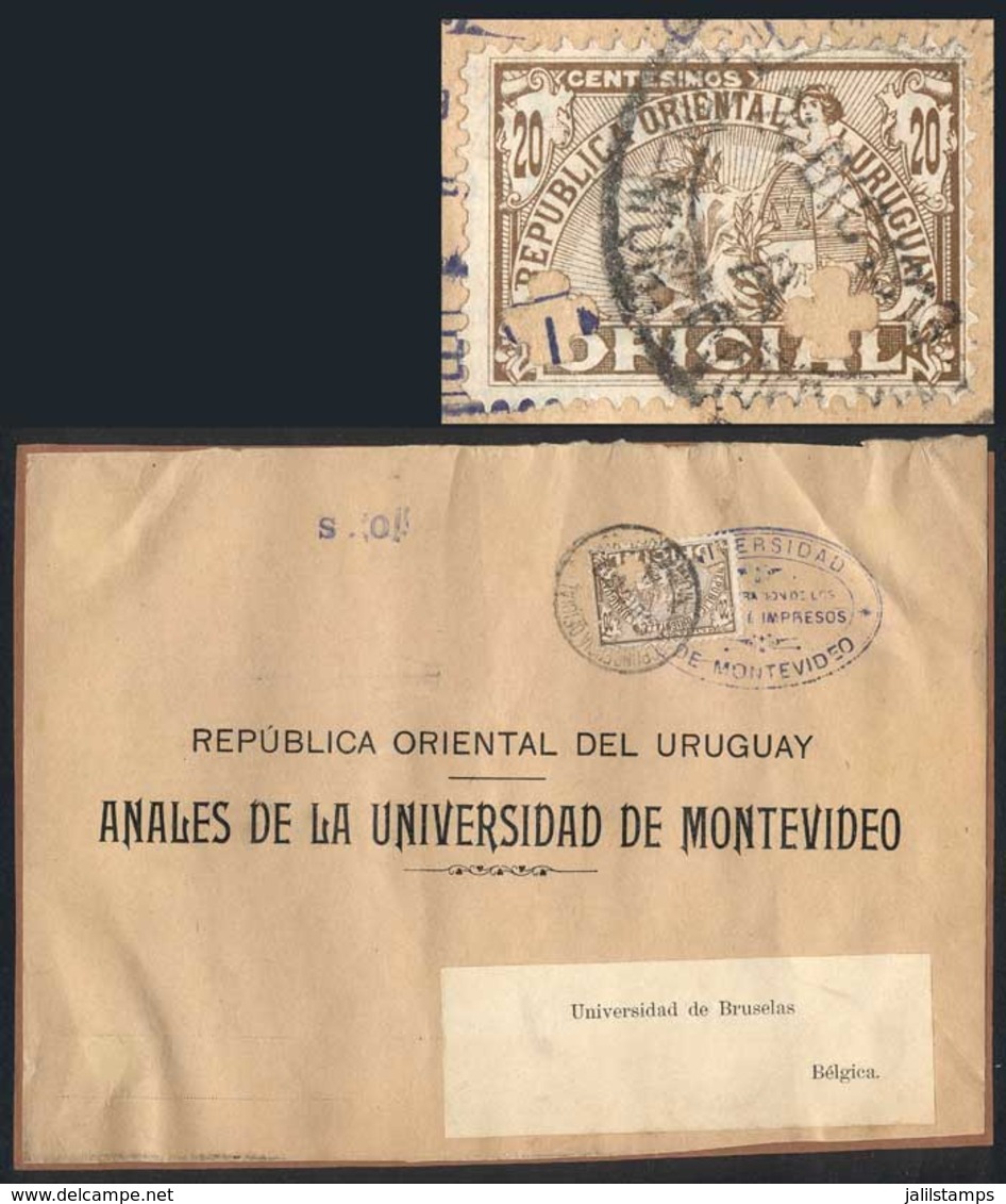 URUGUAY: Large Fragment Of Parcel Post Cover Of The University Of Montevideo Sent To Belgium On 24/DE/1913, Franked By S - Uruguay