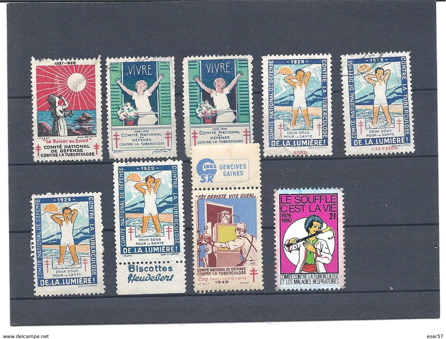 Petit Lot De Timbres Antituberculeux - Tuberkulose-Serien