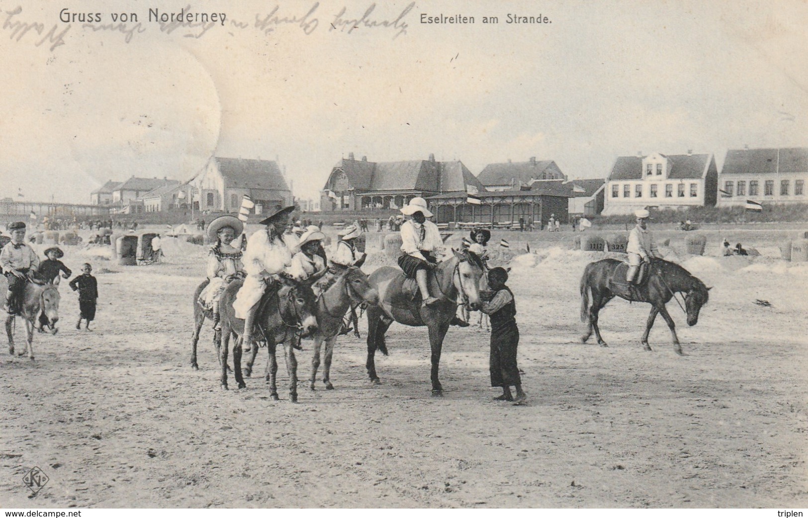 Gruss Von Norderney - Eselreiten Am Strande - Norderney