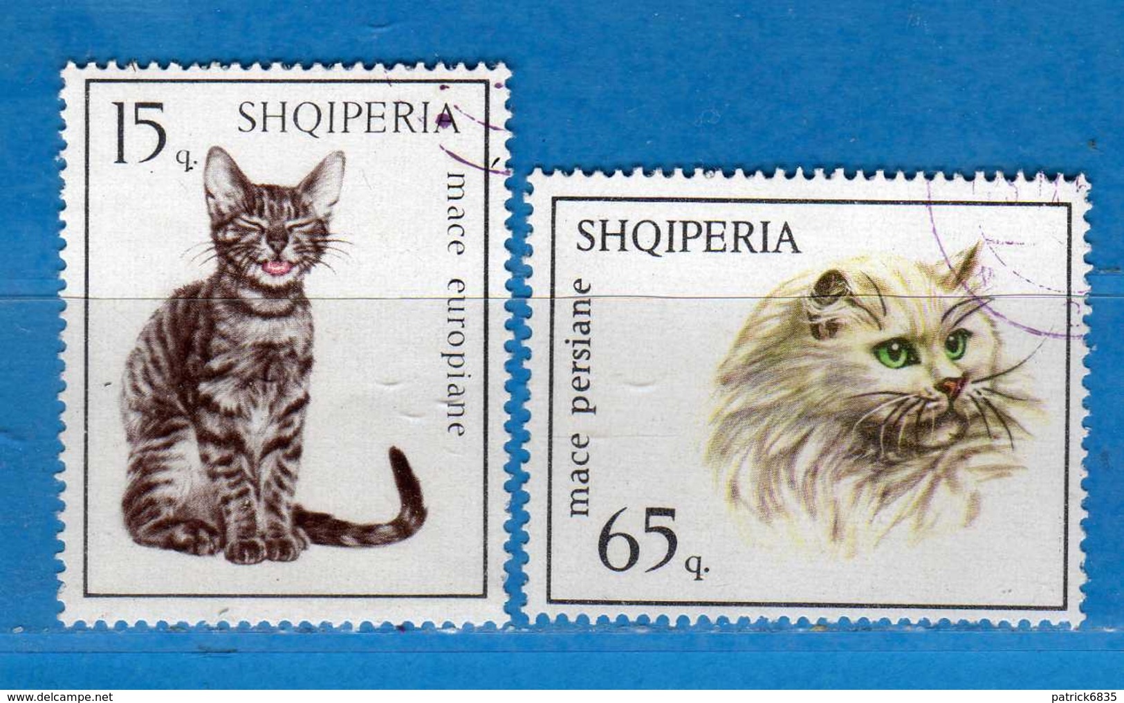 (Us3) Albania °-1966 - CHATS.  Yvert. 916-920. Used. COME SCANSIONE. - Albania