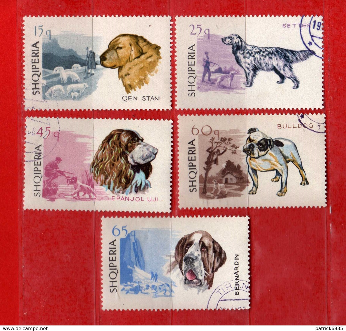 (Us3) Albania °-1966 - CHIENS.  Yvert. 933--934-935-936-937. Used. COME SCANSIONE. - Albania