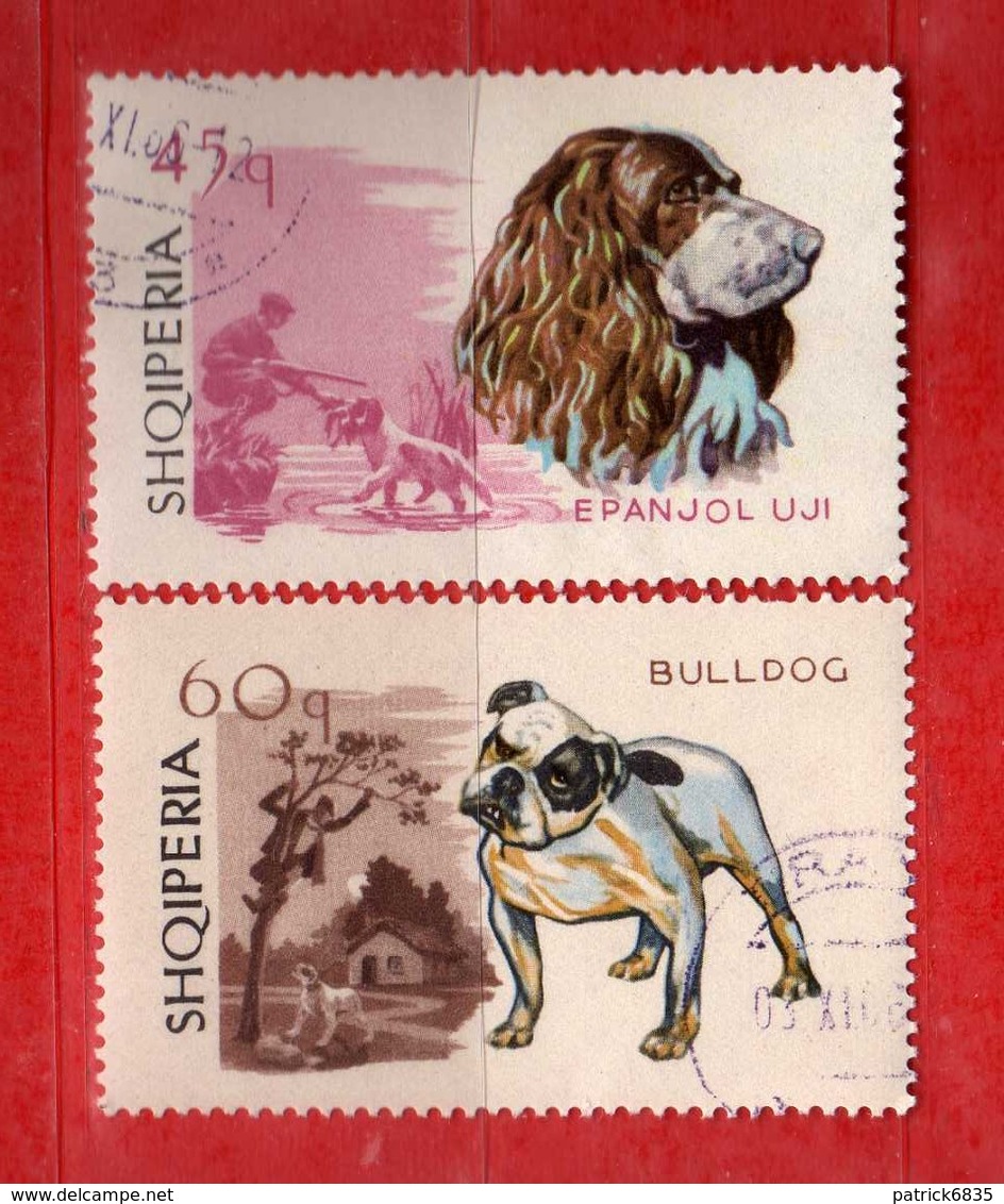 (Us3) Albania °-1966 - CHIENS.  Yvert. 935-936. Used. COME SCANSIONE. - Albania