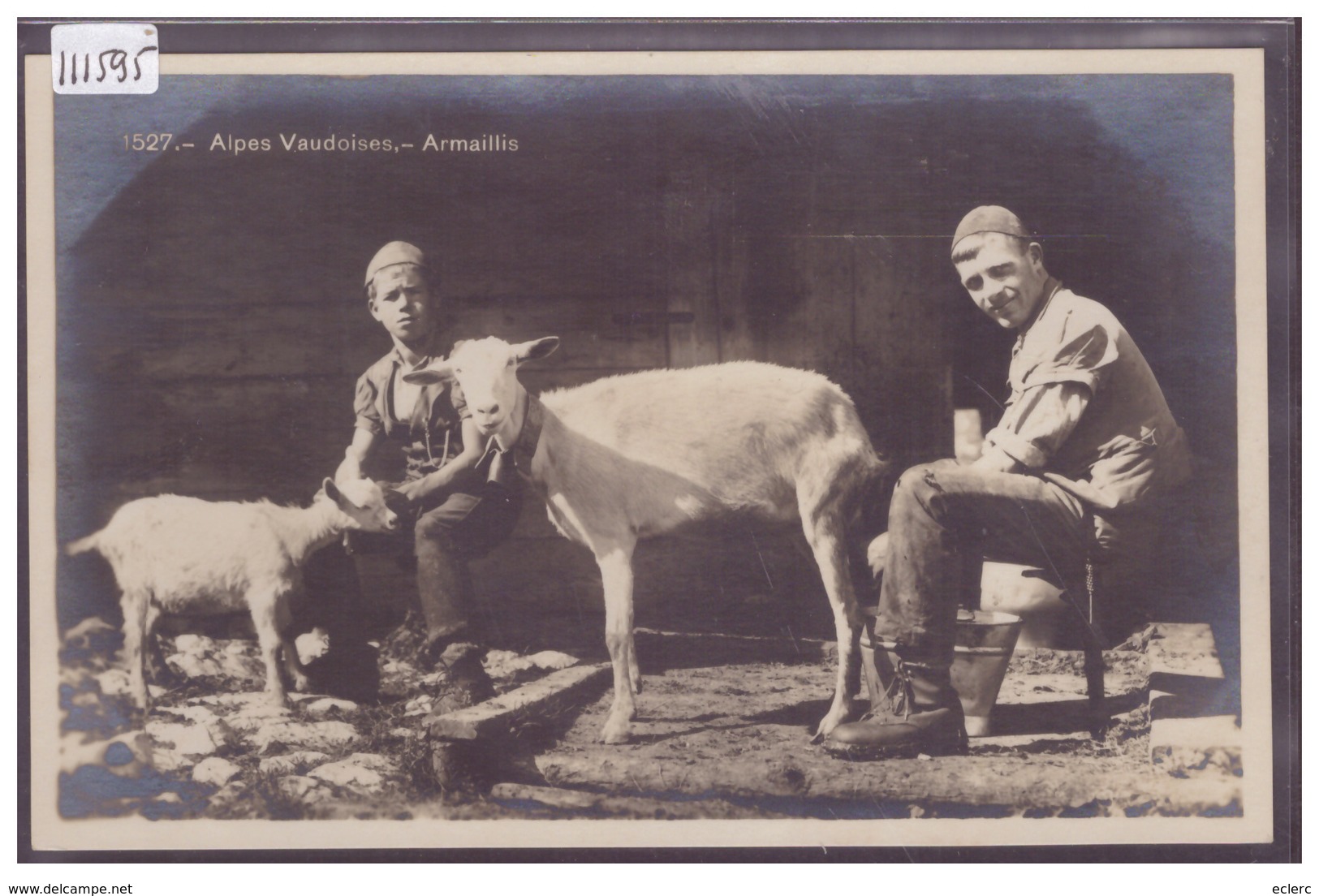 ARMAILLIS ET CHEVRES DANS LES ALPES VAUDOISES - TB - Autres & Non Classés