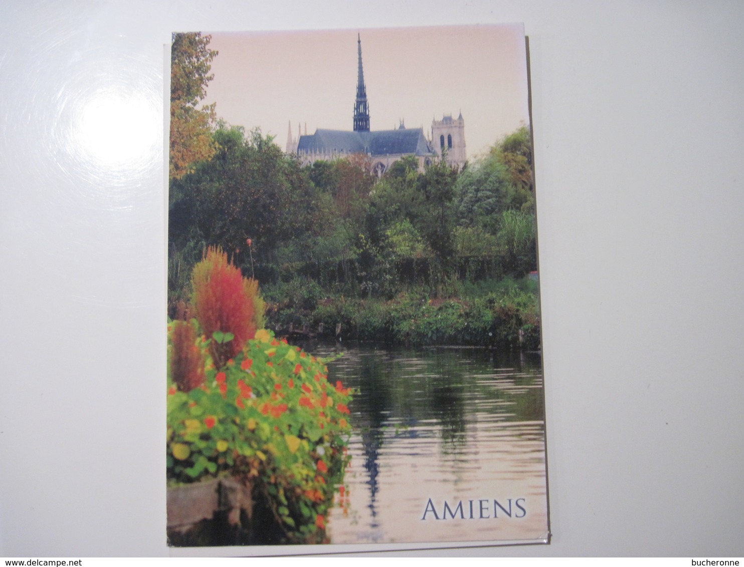 CPA  80 AMIENS La Cathédrale Notre Dame Vue Depuis Les Hortillonnages  TBE - Amiens