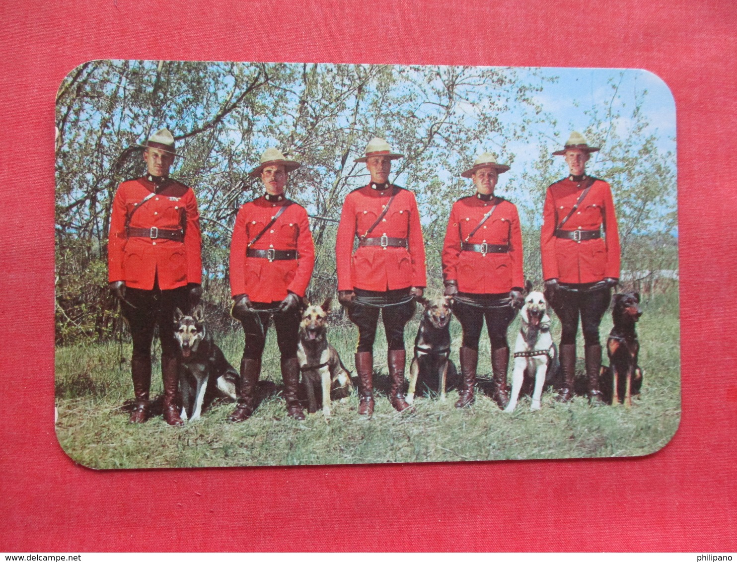 Royal Canadian Mounted Police   With Their World Famous Dogs Trained For Police Work          Ref 3333 - Politie-Rijkswacht
