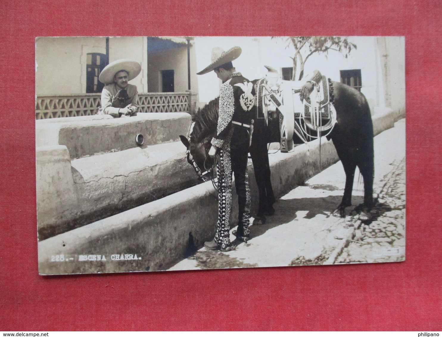 RPPC Escena Chara  Man While Watering His Horse  Mexico   Ref 3334 - Mexico