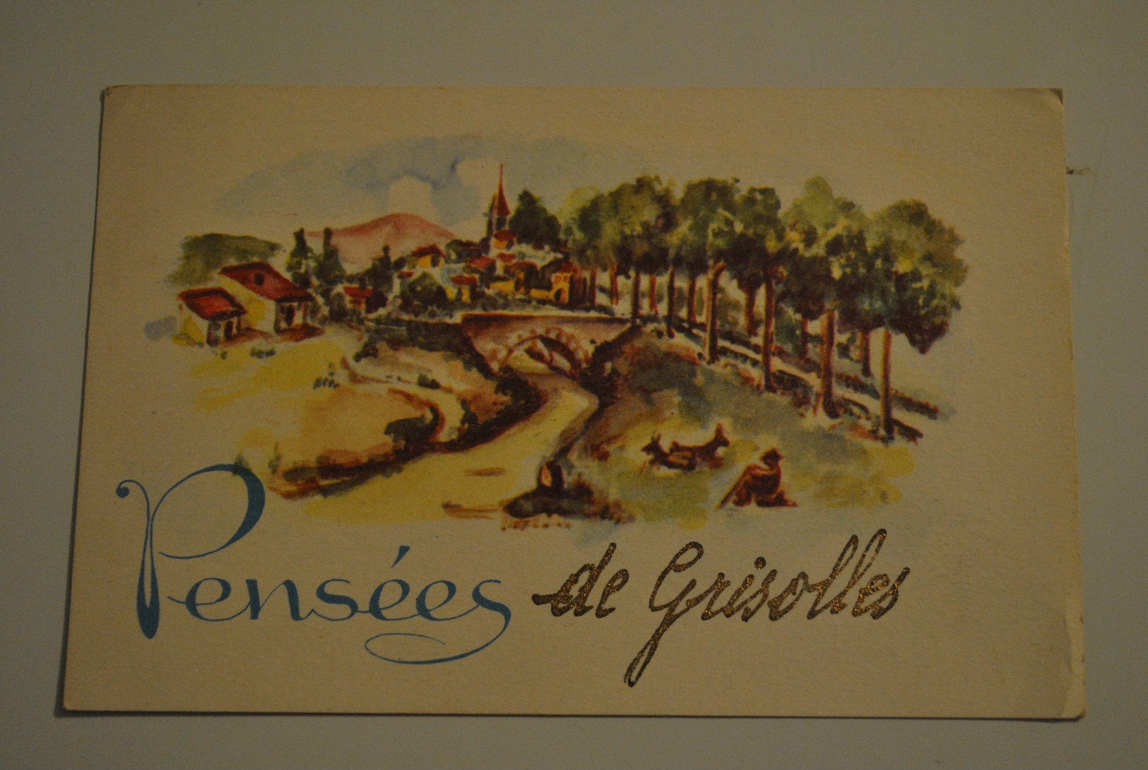 82 Tarn Et Garonne Pensees De Grisolles - Grisolles