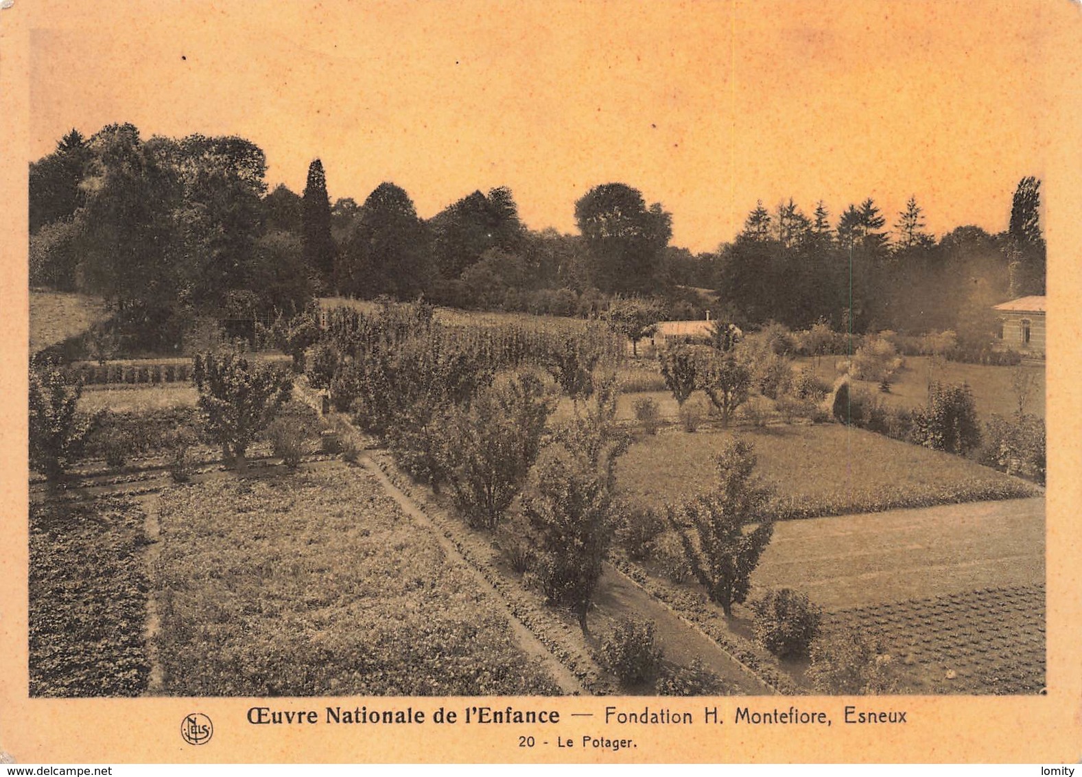 Belgique Esneux Fondation H. Montefiore Le Potager  CPSM GF Oeuvre Natonale De L' Enfance - Esneux