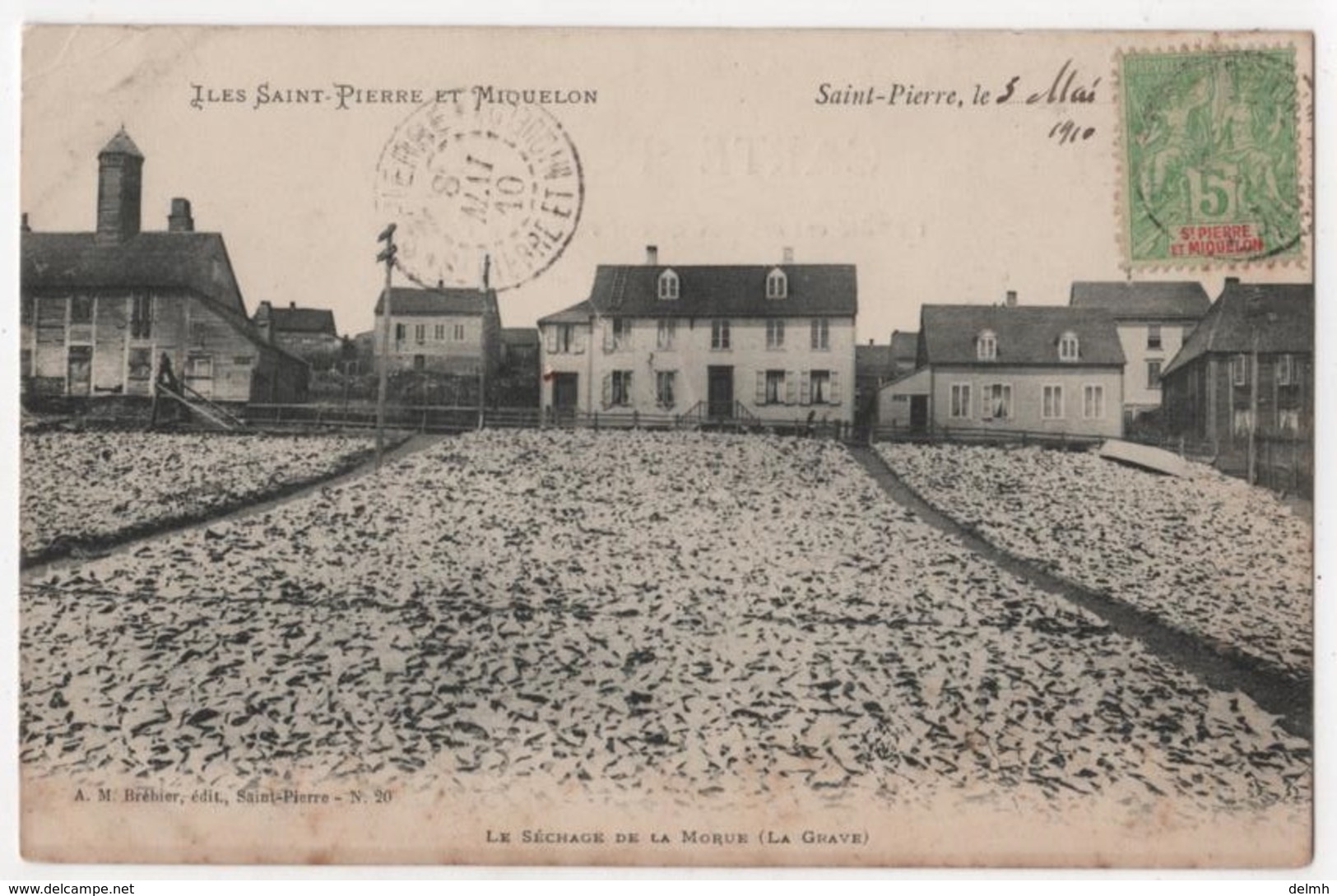 Saint Pierre Et Miquelon Séchage De La Morue La Grave - Saint-Pierre E Miquelon