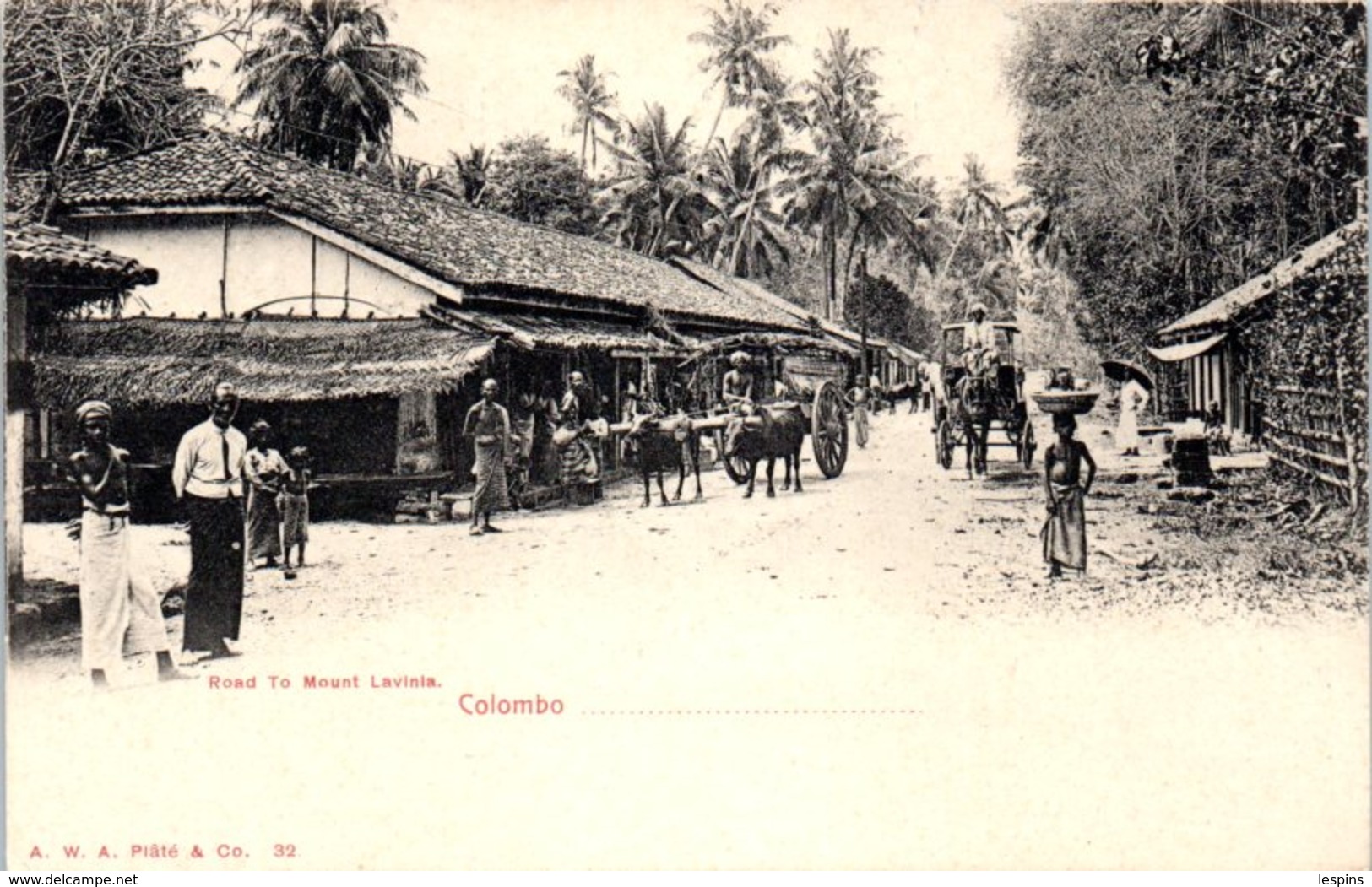 ASIE - SRI LANKA ( CEYLON -- Road To Mount Lavinia - Colombo - Sri Lanka (Ceylon)