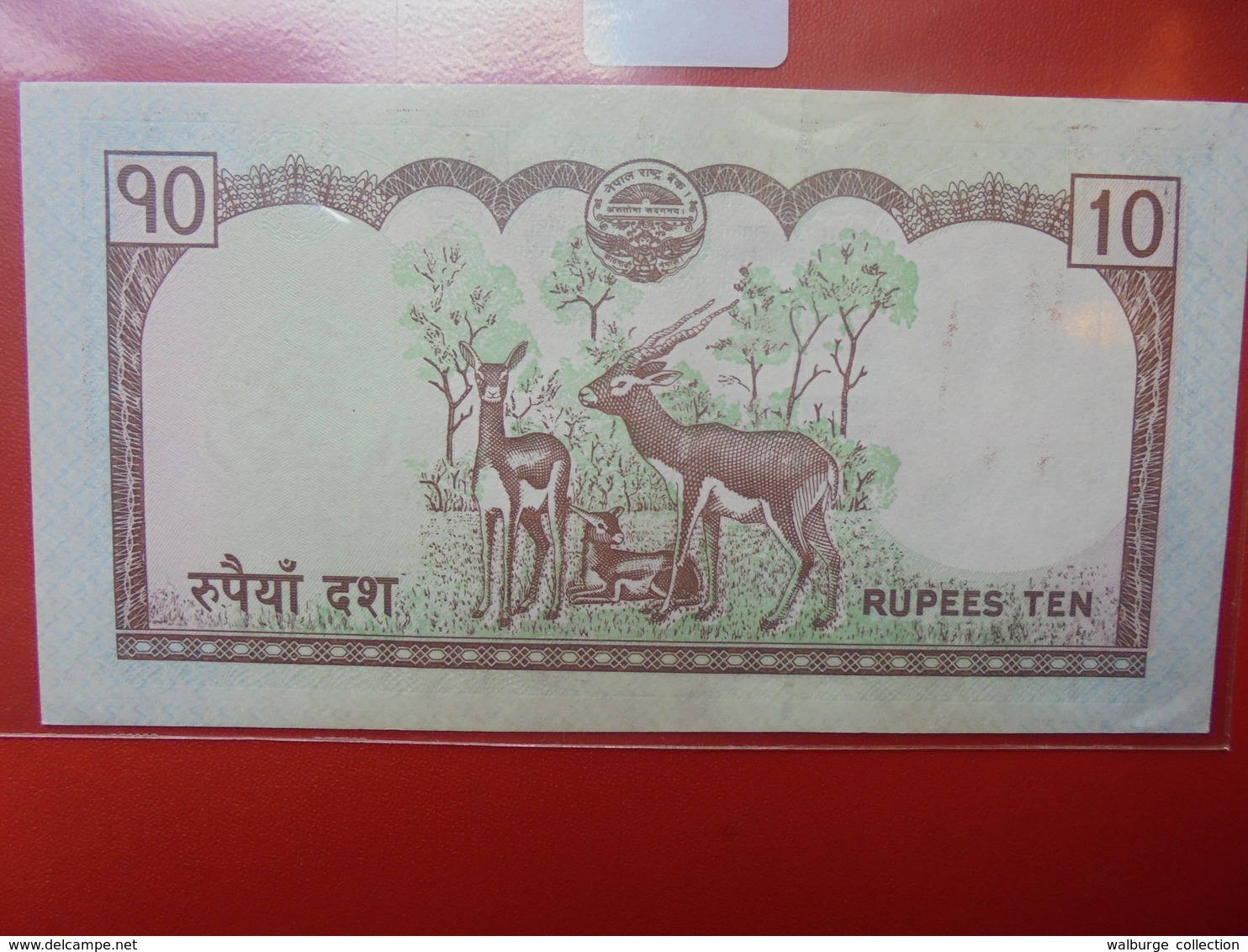 NEPAL 10 RUPEES 2008 PEU CIRCULER/NEUF - Nepal