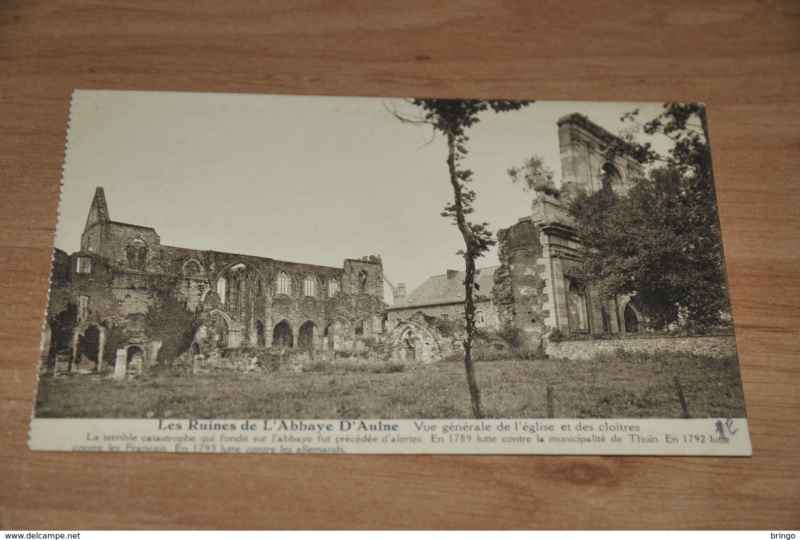 9480-    LES RUINES DE L'ABBAYE D'AULNE, VUE GENERALE DE L'EGLISE ET DES CLOITRES - Thuin