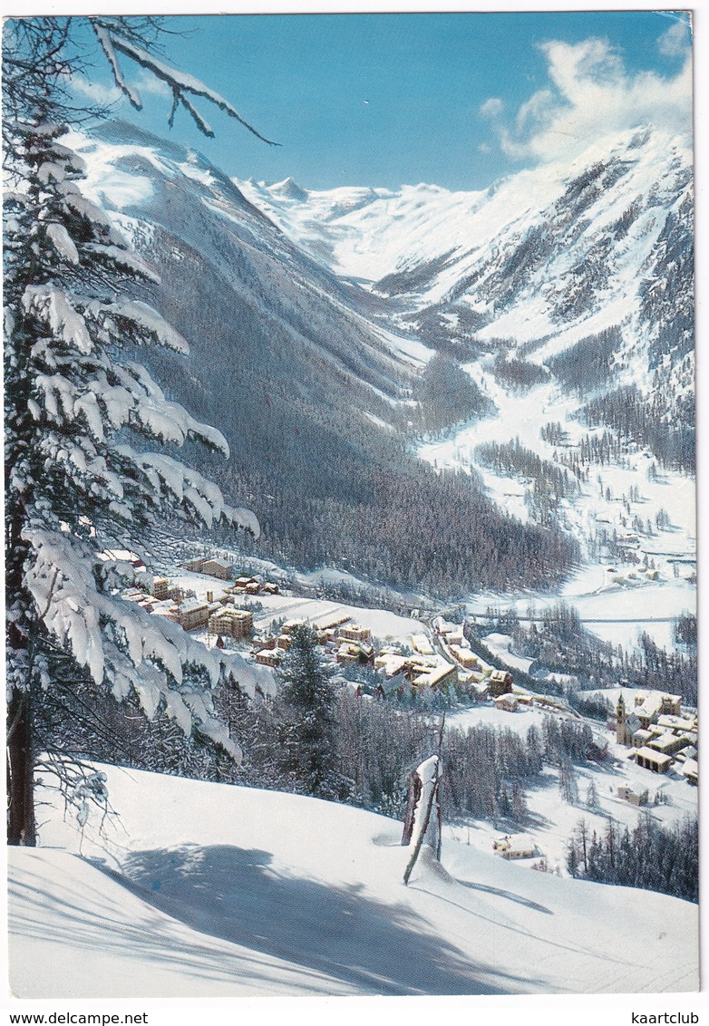 Pontresina (1830 M. ü. M.) Mit Rosegtal Und Sellagruppe  - (GR) - Pontresina