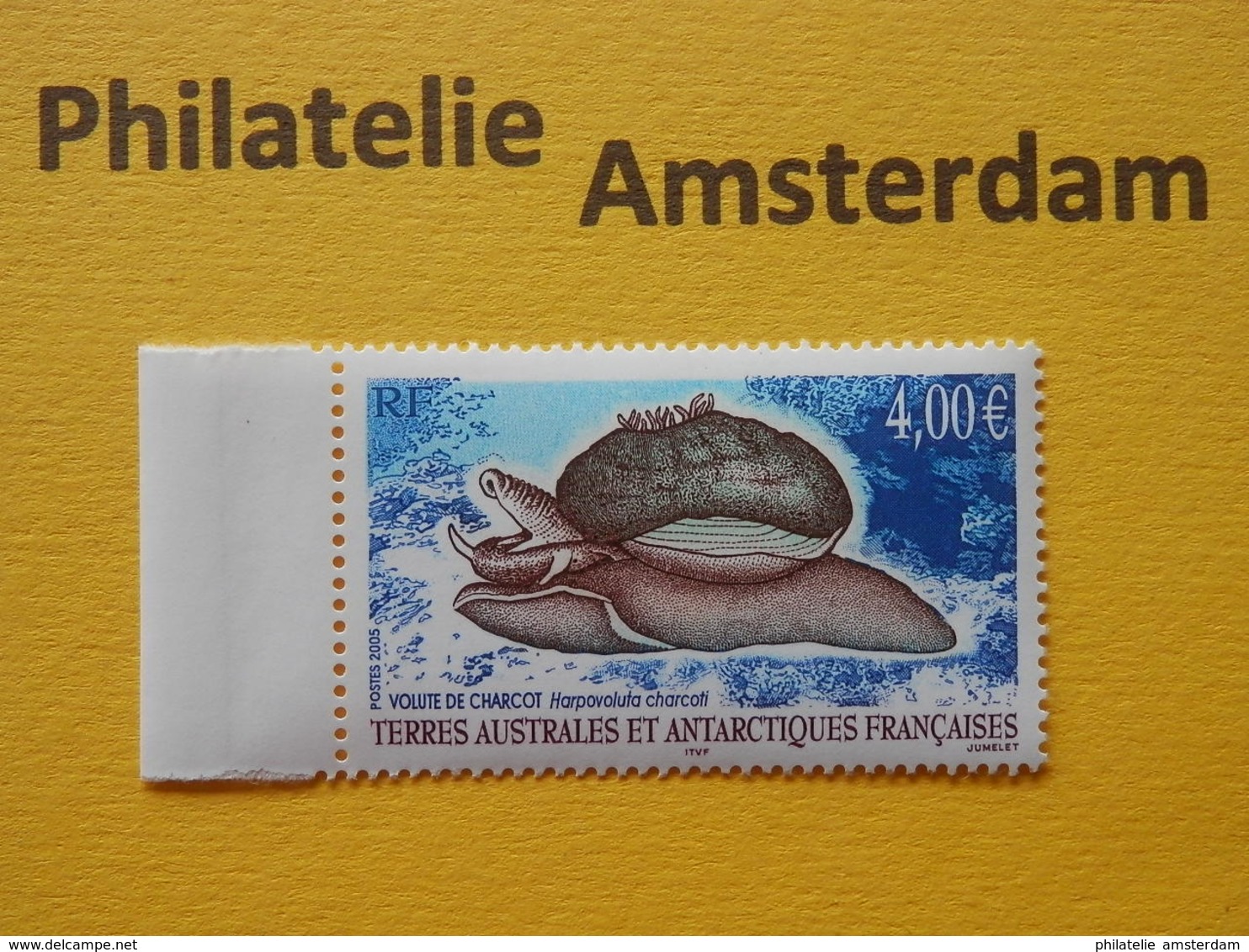 French Antarctic Terr. (TAAF) 2005, FAUNA: Mi 564, ** - Antarctic Wildlife