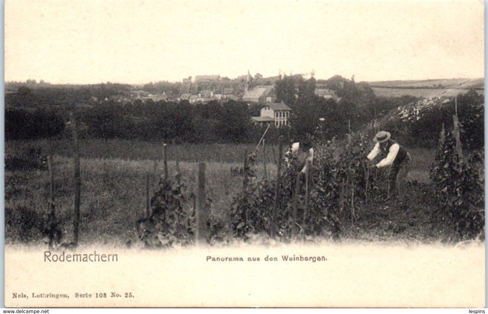 57 - RODEMACHERN --  Panorama Aus Den  Wein Bergen - Autres & Non Classés