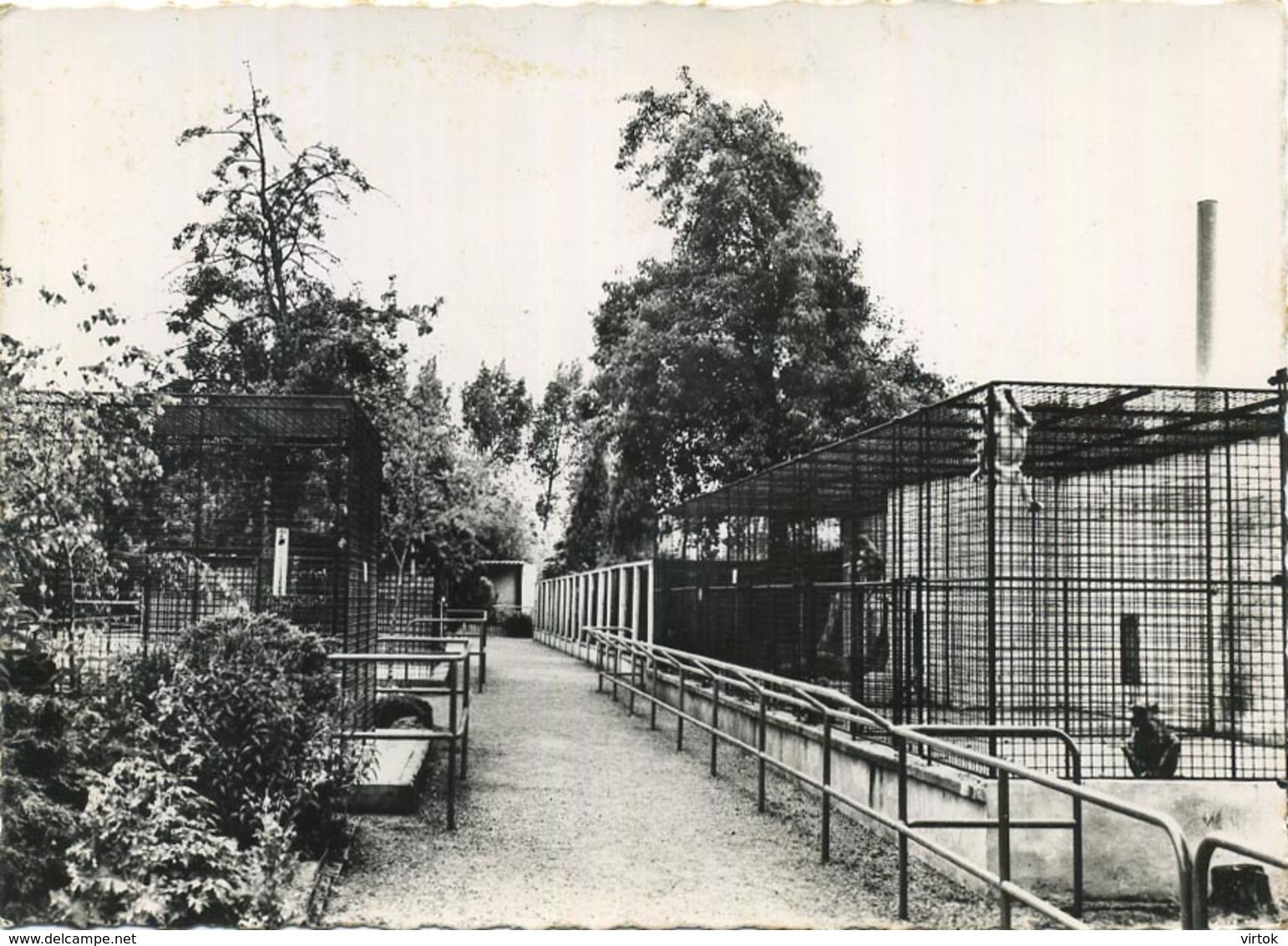 Lokeren : Algemeen Zicht  (  Uitg. Dierentuin Lokeren  (  Formaat 15 X 10.5 Cm Met Zegel ) - Lokeren