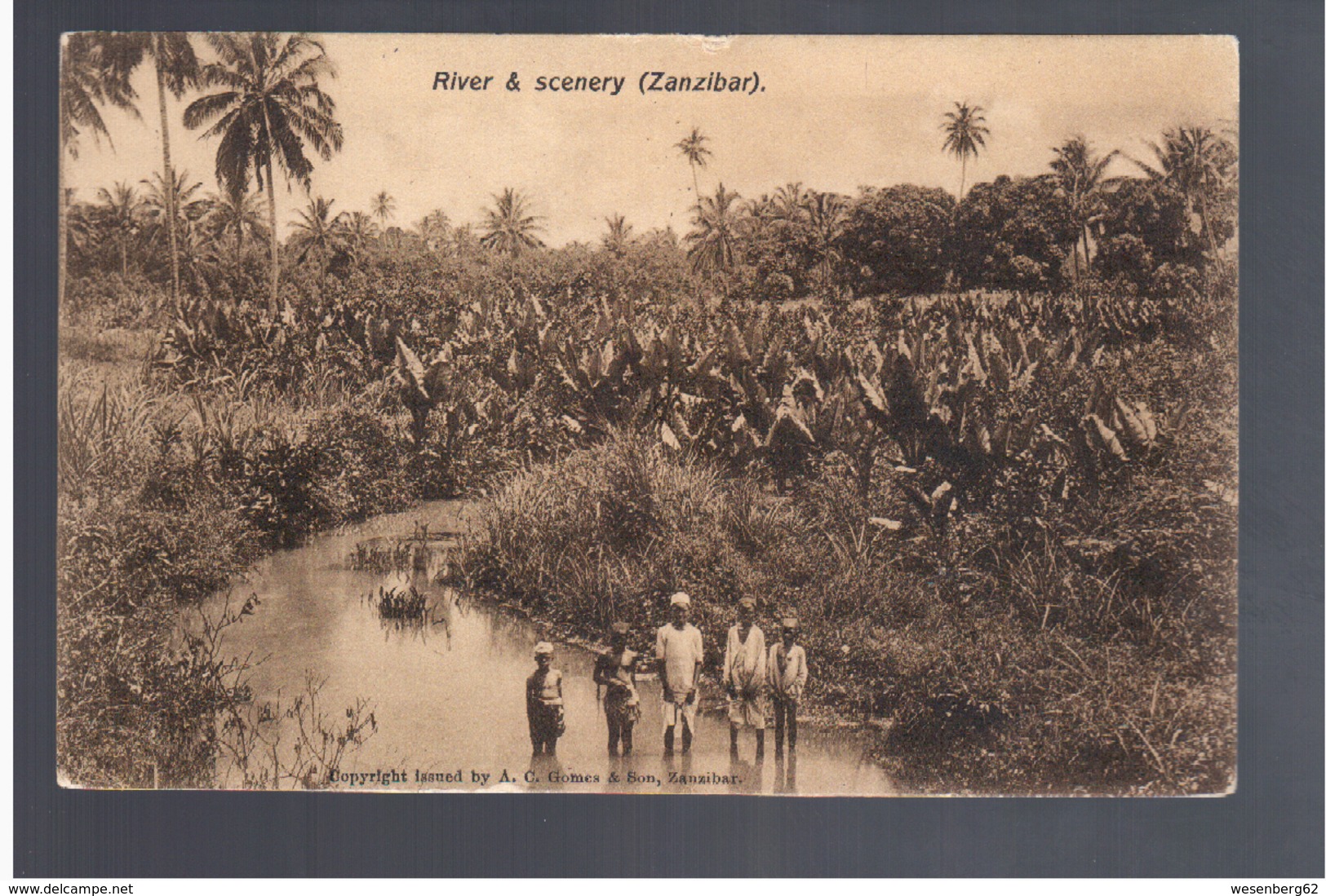 TANZANIA Zanzibar River & Scenery 1908 OLD POSTCARD - Tanzania