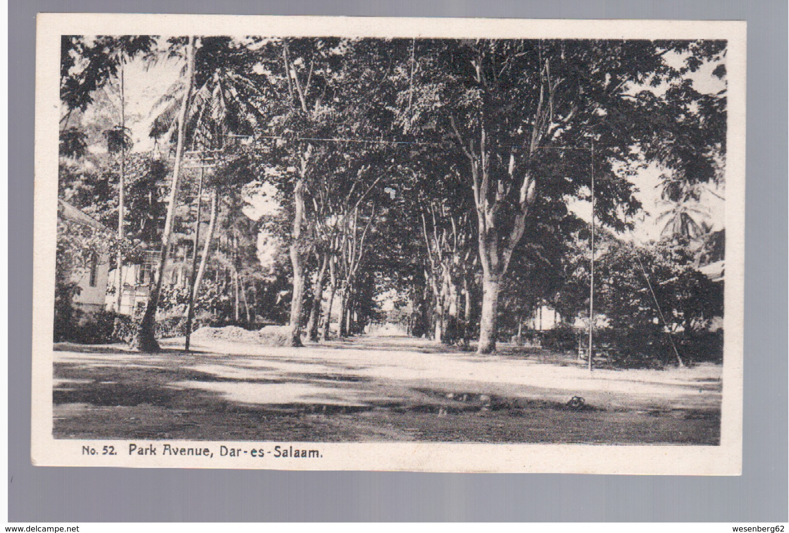 TANZANIA Park Avenue, Dar-es-Salaam Ca 1920  OLD POSTCARD - Tanzania