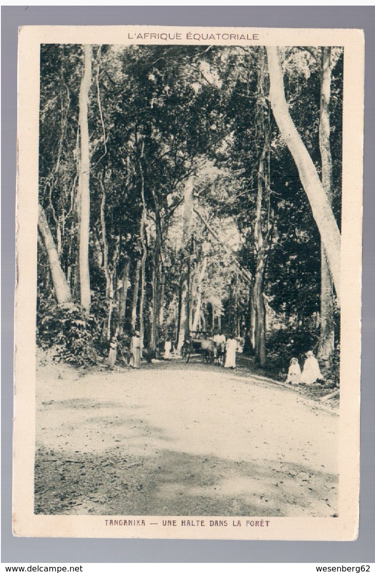 TANZANIA Tanganika Une Halte Dans La Foret Ca 1920  OLD POSTCARD - Tanzanie