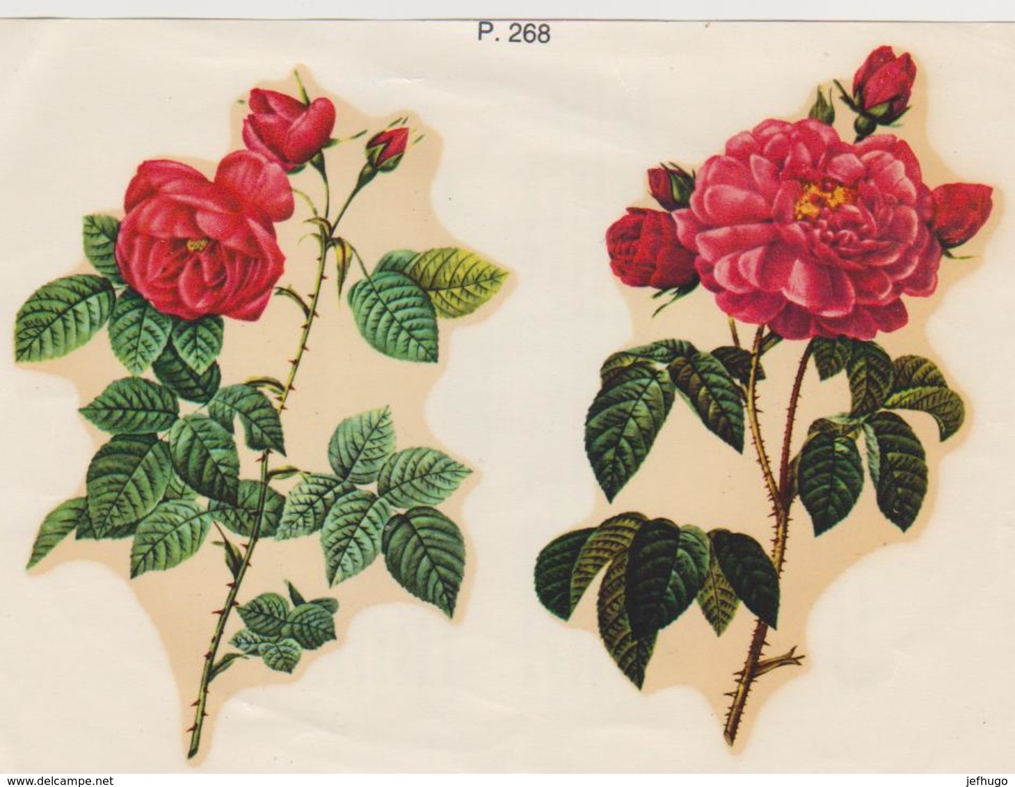 DECALCOMANIES FLEURS . ROSES . VOIR SCAN - Other & Unclassified