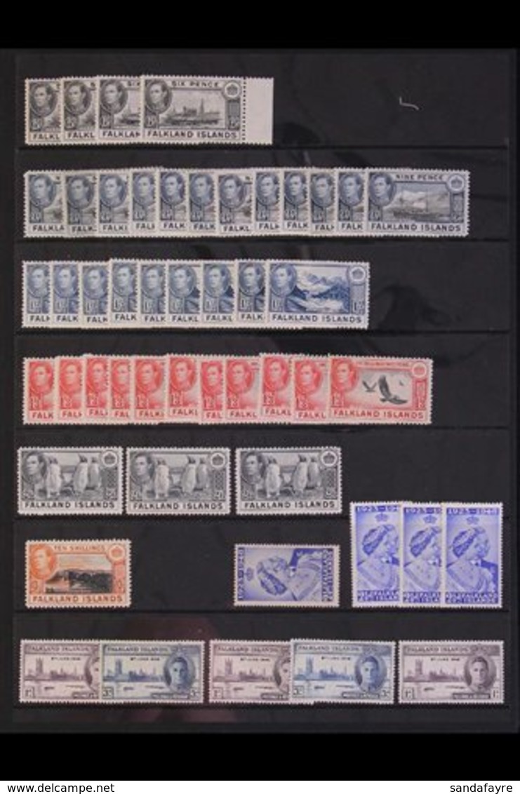 1937-51 EX-DEALERS MINT STOCK Presented On Stock Pages With A Duplicated Range That Includes 1937 Coronation (x30+ Sets) - Falklandeilanden