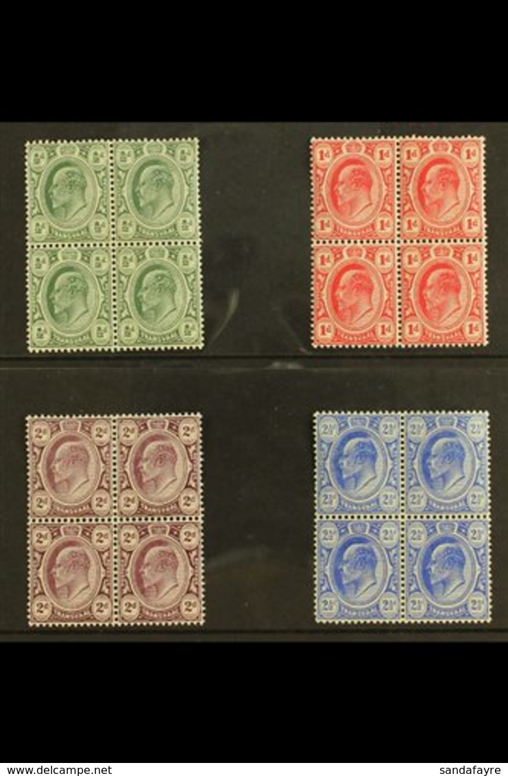 TRANSVAAL 1905-09 KEVII Set, SG 273/76, In Very Fine Mint BLOCKS OF FOUR, Three Stamps In Each Block Never Hinged. (4 Bl - Non Classés