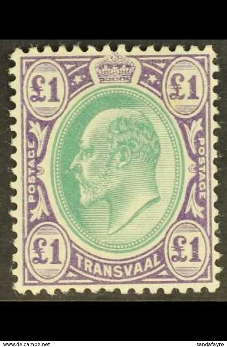 TRANSVAAL 1903 Ed VII £1 Green And Violet, Wmk CA, SG 258, Very Fine Mint. For More Images, Please Visit Http://www.sand - Non Classés