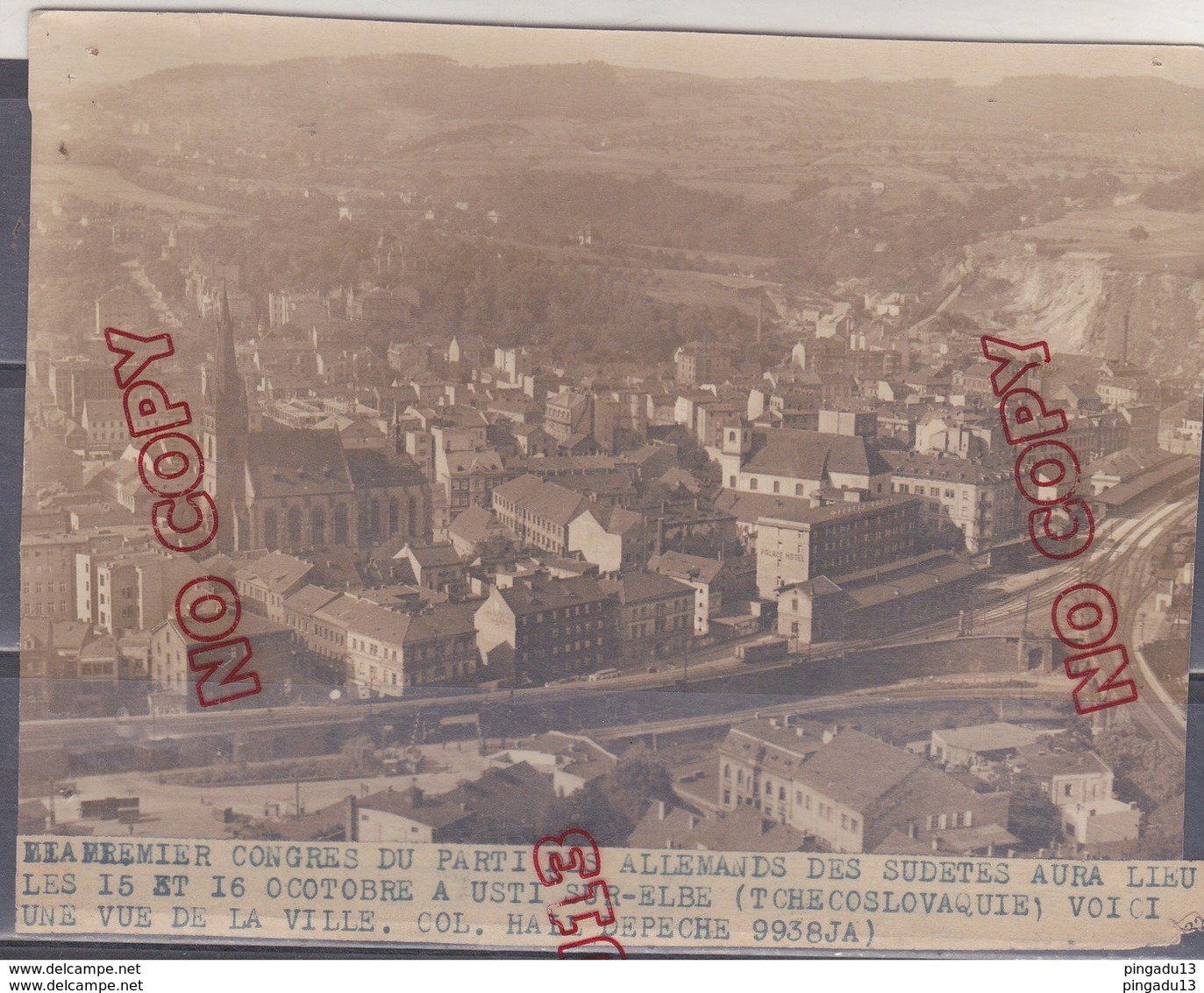 Au Plus Rapide Photo Premier Congrès Parti Allemands Sudètes 15 Et 16 Octobre 1938 à Usti Sur Elbe - 1939-45