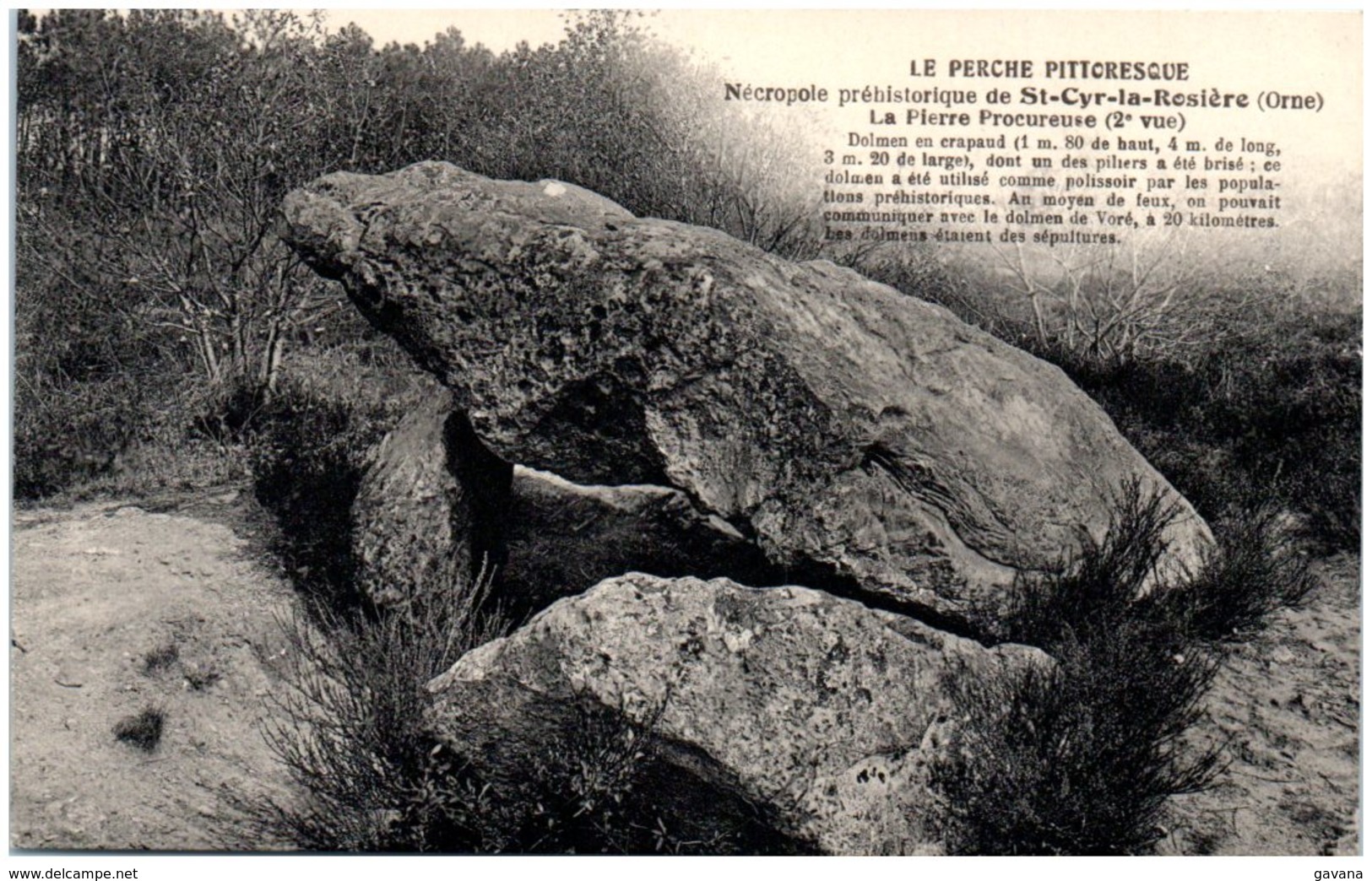 61 Nécropole Préhistorique De SAINT-CYR-la-ROSIERE - La Pierre Procureuse - Dolmen - Other & Unclassified