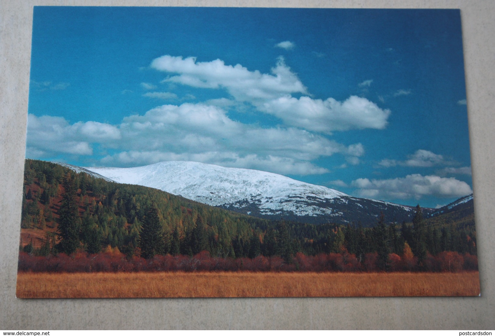 Mountains Of Russia. Altai., UNESCO - Modern Postcard - Russia