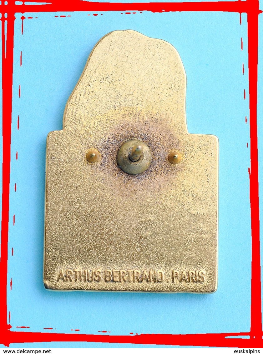 Pin's Arthus Bertrand, Série Des Animaux Pour Le WWF, L'ours Blanc, Ours Polaire, Polar Bear, Zamac, 2 Scans - Arthus Bertrand