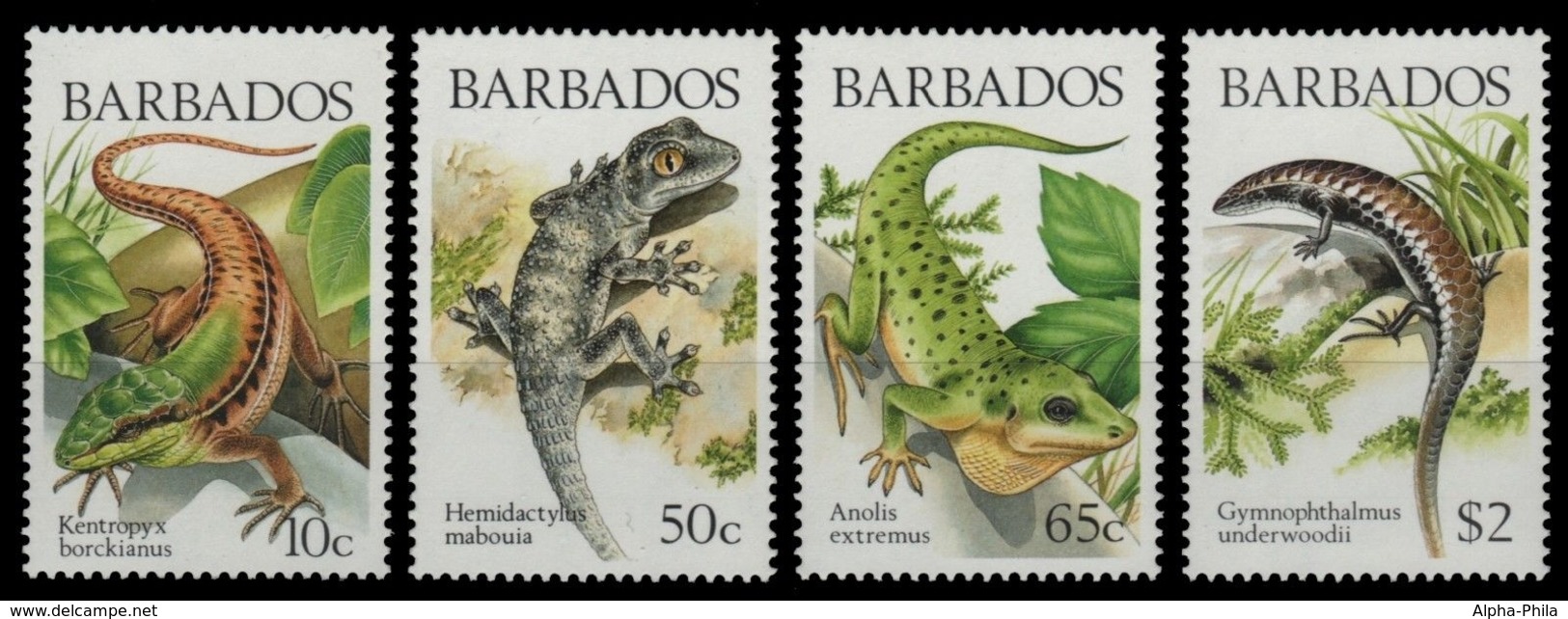 Barbados 1988 - Mi-Nr. 697-700 ** - MNH - Reptilien / Reptiles - Barbados (1966-...)