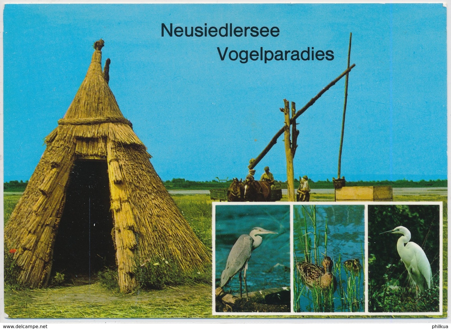 Neusiedlersee Vogelparasies | Burgenland | Mischfrankatur - Neusiedlerseeorte