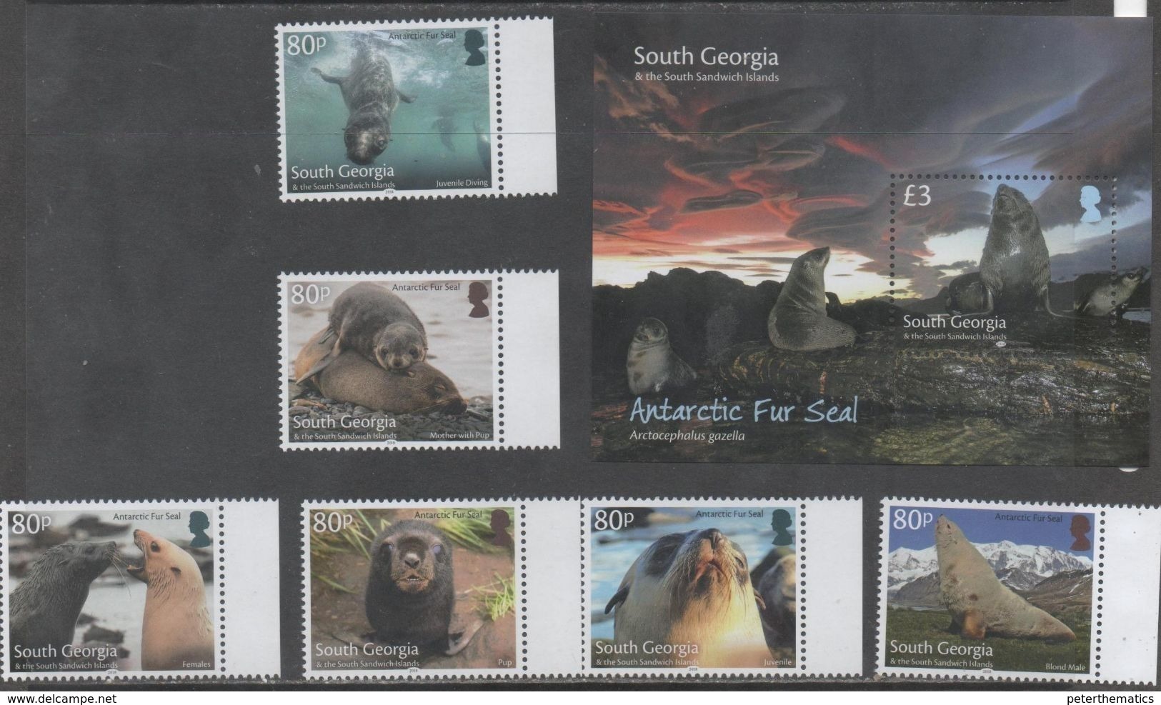 SOUTH GEORGIA ,2018, MNH, ANTARCTIC FAUNA, SEALS, ANTARCTIC FUR SEAL, 6v+S/SHEET - Other & Unclassified