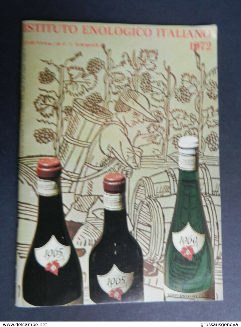 8a) Catalogo E Listino Prezzi Istituto Enologico Italiano 1972 Vini Per Regione 32 Pagine Formato 12 X 17 Cm BUONE CONDI - Casa E Cucina