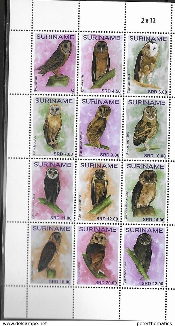 SURINAME, 2019, MNH, BIRDS, OWLS, 12v - Gufi E Civette