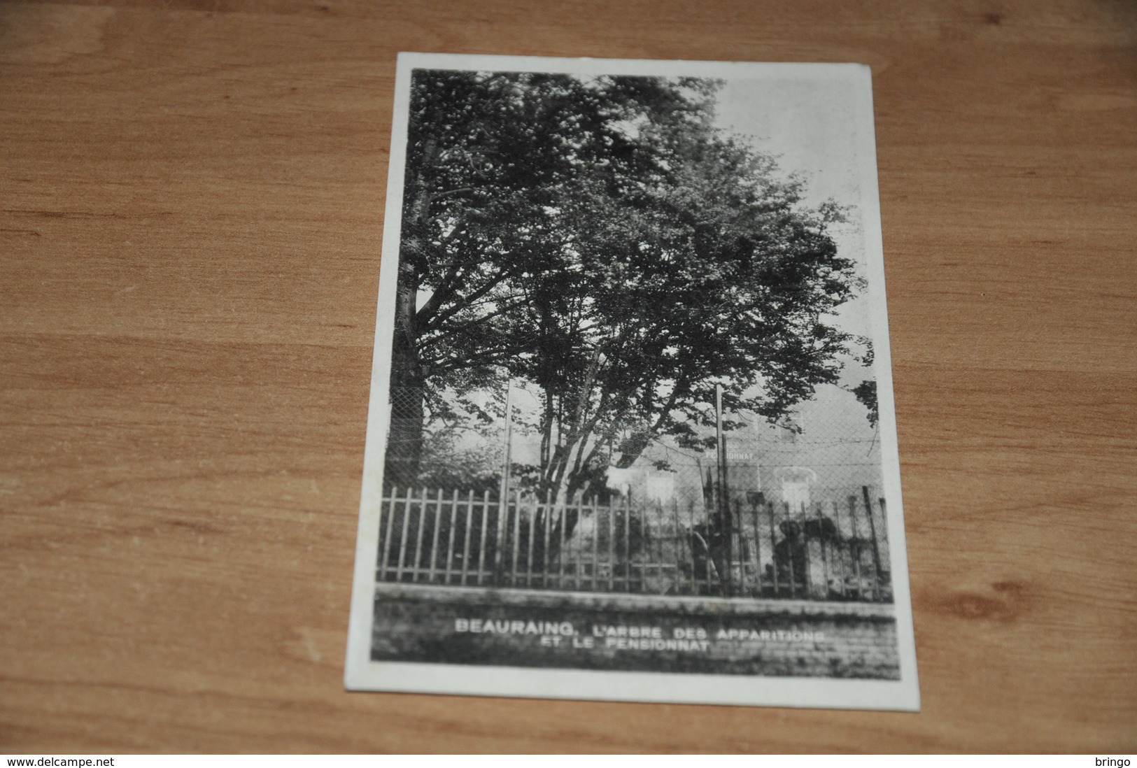 9540- BEAURAING, L'ARBRE DES APPARITIONS ET LE PENSIONNAT - Beauraing