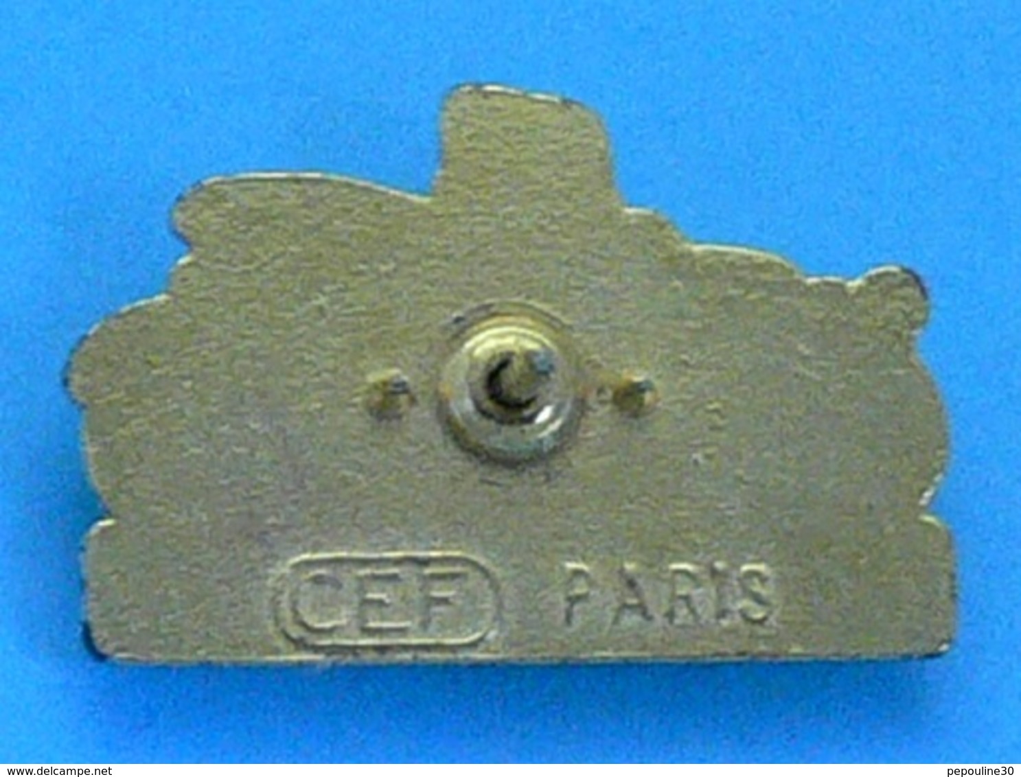 1 PIN'S //  ** RENAULT TYPE AM / 1908 ** . (CEF) Paris - Renault