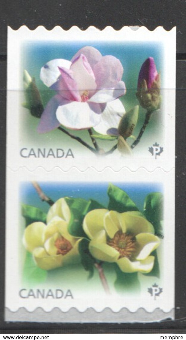 2013  Magnolias  SE-tenant Pair Of Coil Stamps  Sc 2622-3 ** MNH - Unused Stamps