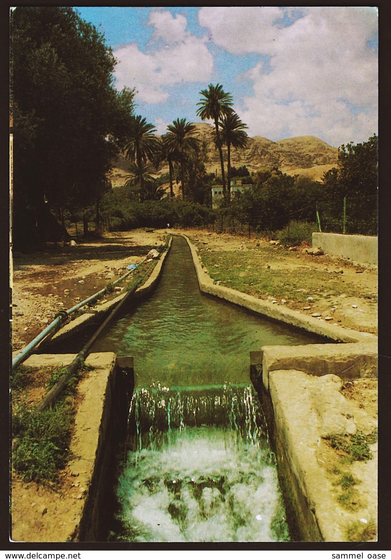 Jericho  -  Irrigation Channel From The Spring Of Elisha  -  Ansichtskarte Ca.1970   (10762) - Palästina